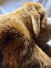 Vintage Toys R Us Animal Alley Jumbo Darby Brown Puppy Dog Stuffed Plush 36 