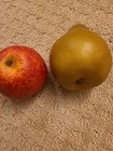 Fake Faux Fruit Apples And Pear Real Looking Display Food 2 Pieces 