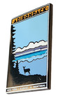Amtrak Collector Edition Adirondack Route Collector Edition Enamel Lapel Pin