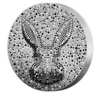 50 Dollars Silver Coin  black Water Rabbit 2023  Unique Gift  Limited Edition