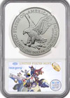 2024 p  Silver Eagle  1 Star Privy 50k Coin  Ngc Ms70 - This Is The Coin U Want 