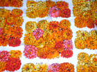 2 Prs Vtg 70s Penneys Flower Power Curtains Bright Floral 4 Panels 24x60  Ea