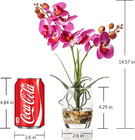 1 Pcs Glass Vase Artificial Orchid Flower Bonsai Vivid Phalaenopsis Flowers Pott
