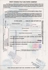 Westvaco Corporation Stock Certificate 100 Shares