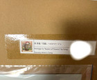 Takashi Murakami s Homage To Song Li Song s  flower Basket   Japan Rare