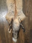 Rare Ranch Dakota Gold Red Fox Hide Pelt Freshly Tanned  Luxurious Fur 4 Legs
