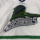 Florida Everblades Hockey Jersey Mens Small Echl Ccm Rare