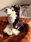 Webkinz Signature Siberian Husky Nwt