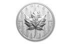 2024 Rcm Canada Maple Leaf Uhr Pulsating Forest 1 Oz Silver Proof Coin