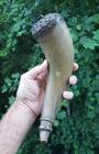 Early Carved Powder Horn Iron Stud Decorated Rev War Native American Found In Pa