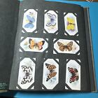 Rare Cigarette Album With Butterfly Tobacco Cards Floral Yellow Front Holds 500