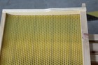 Assembled 20 Bee Foundation Deep Bee Hive Wax Foundation Bee Hive Frames W  Wire