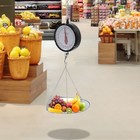 Hanging Produce Scale Double-side Dial Up To 22 Lbs For Home And Business Use