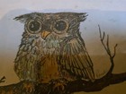 Vtg Small 1970 s  Owl Wood Framed Wall Art Print 8 In X 6 In Mid-century Modern 