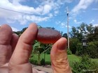 Genuine Sea Glass Beautiful Brown Color  Surf Tumbled 15 Gram