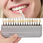 Porcelain Dental Shade Guide Vitapan Classical 16 Colours