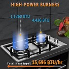Built-in Gas Cooktop Propane Stove Top 12 In 2 Burner Dual Fuel Stainless Steel