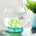 Gallon Glass Fishbowl Footed Classic Aquarium Round Fish Tank Clear Bowl