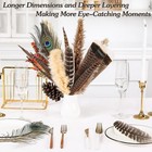 Natural Pheasant Feathers Assorted 8-12inch 24pcs Large Decor Crafts Wholesale