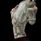 Rare Chinese Tang Dynasty  618-907 Ce  Alike Terracotta Horse 8    Golden Age