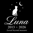 Pet Stone  Memorial  Grave Marker Granite Plaque  Headstone Dog Cat Memorial 6x6