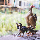 Hardware Cloth 1 4 Inch Galvanized Welded Wire Mesh Poultry Metal Wire Fencing
