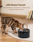 Cat Water Fountain 71oz 2 1l Cat Fountain Automatic Pet Dog Water Fountain