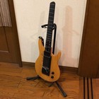 Yamaha Easy Guitar Ez Eg Electric Guitar With Power Confirmed