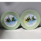 Lot Of 6  Unbranded Vintage Plates Made In Austria  Rare