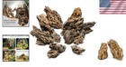 Natural Dragon Stone Aquarium Decor - Aquascaping Rocks