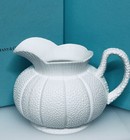 Nib Authentic Tiffany   Co  Sea Urchin Pitcher Fine Bone China Made In Ireland