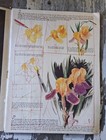 How To Do Water Colors By Walter Foster