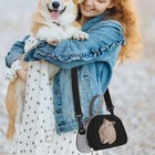 Pet Out Bag Portable Hamster Holder Pouch Small Animal Carrier Travel