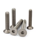 Titanium Gr2 Hex Socket Bolt Countersunk Flat Head Screws M2 M2 5 M3 M4 M5 M6 M8