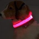 Nylon Led Pet Dog Luminous Collar Night Safety Flashing Glow In Dark Dog Cat Lea