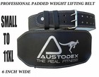 Austodex Weight Lifting Belt 6  Back Support Fitness Gym Training Bodybuilding 
