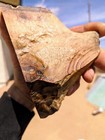 1 3 Lbs Picture Jasper Rough - Biggs  Lapidary Or Display