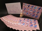 Frontier Airlines Trading Cards 9 Card Fleet Set  2 Sets  Airbus - 2 5  X 3 5 