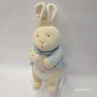 Eden My First Peter Rabbit Terry Cloth Pastel Plush Baby Beatrix Potter Bunny 