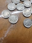 Buffalo Nickel Lot  16 Coins  