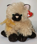 Ct  Ty Classic Plush - Cassidy The Himalayan Cat 10  Stuffed Animal Toy Mwct