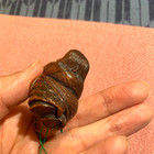 Art In Your Palm  Antique Netsuke From Edo Period Style Warmth   Certificate 114