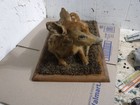 Vintage Fawn Whitetail Deer Mount Taxidermy Ready2display 20x12x10