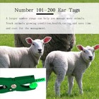 101-200 Number Plastic Tags Livestock Animal Ear Tag For Marking Pigs Cattle    