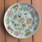 Antique Chinese Celadon Famille Rose Birds   Butterflies Porcelain Plate 7-7 8 
