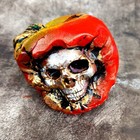 Box Witchcraft Kit Starter Ritual Magic Pagan Altar Satan Witch Skulls Apple Set