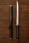 Handcrafted Japanese Katana Dragon Tanto Sword  Stainless Steel Dragon Blade