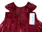 Carter s Baby Girl Shimmering Holiday Special Occasion Dress Sz Newborn 2-pc Nwt