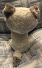 Ty Beanie Boos 9    Frost The Arctic Fox husky  walgreens Exclusive  W  Nmt 2017