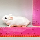 Djungarian Hamster Kaiyodo Choco Egg Mini Figure Animal Furuta From Japan F s